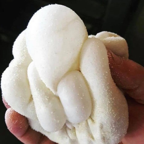 Brevard Pizza Works pizza dough